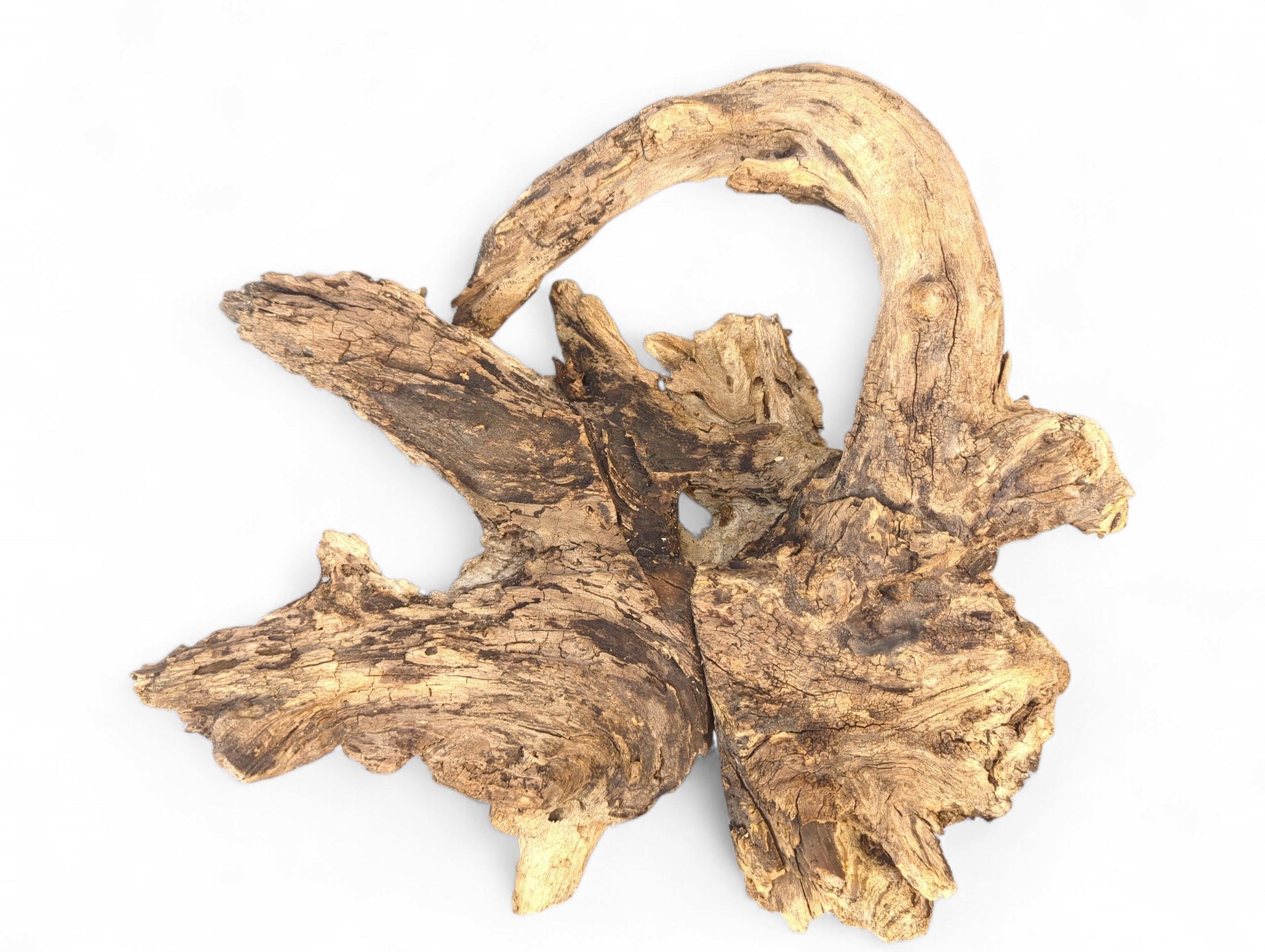 Weathered, gnarled wood burl sculpture in earthy brown tones with a deeply textured, cracked surface.