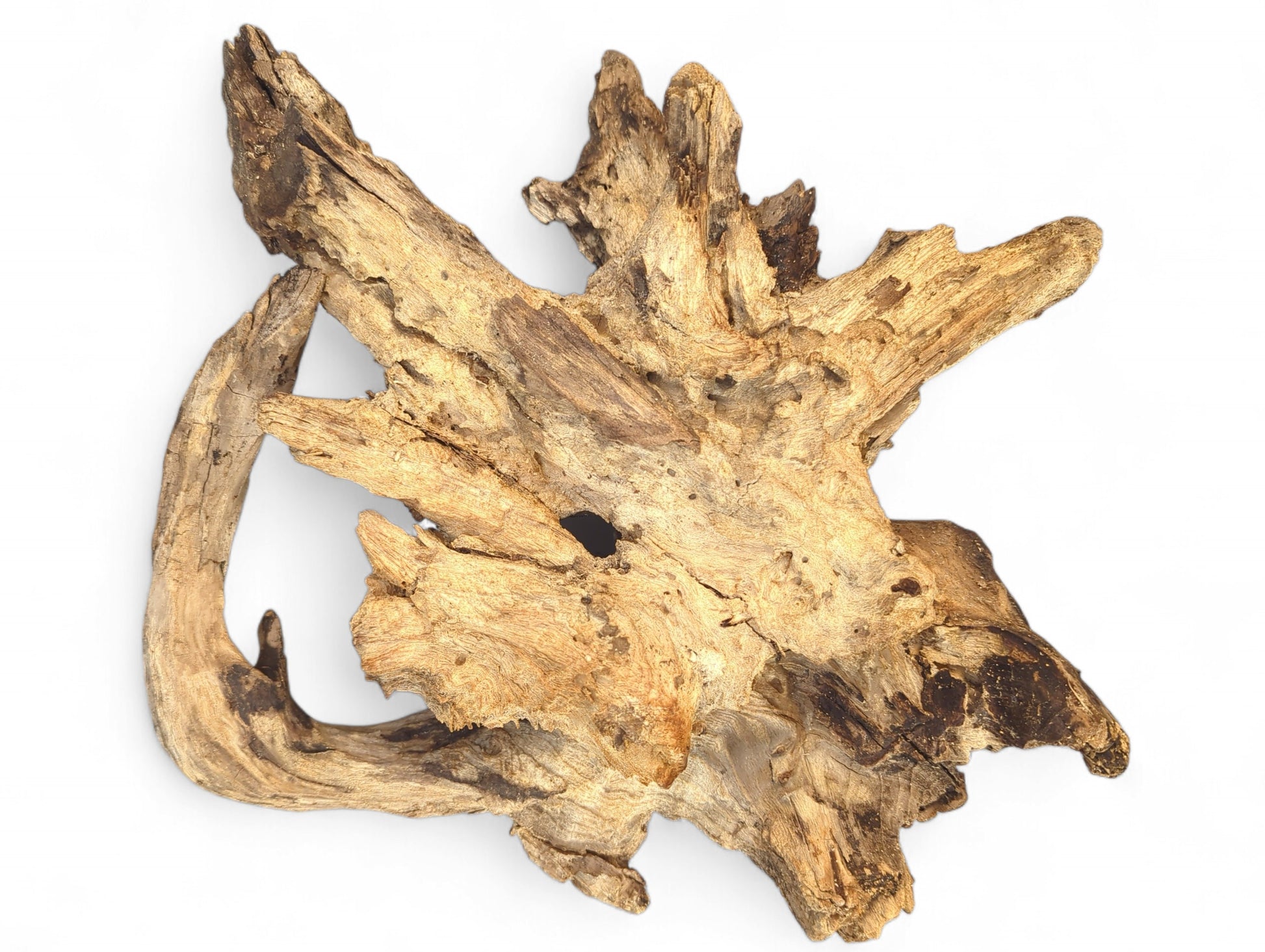Organic-shaped, golden-brown driftwood piece featuring a rough, complex surface texture and visible darker wood grain.
