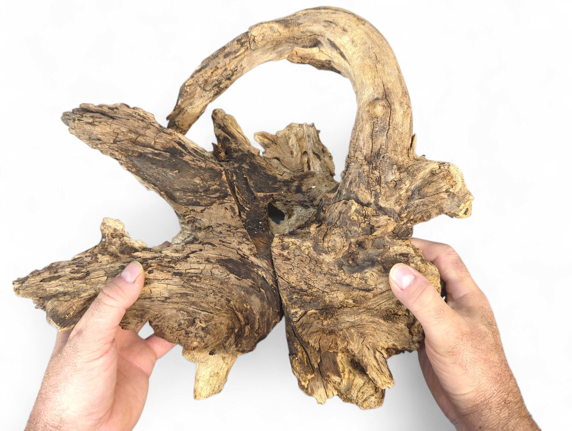 Hands grasp an aged, multi-toned brown wood piece, featuring an arching top and rough, cracked surface.