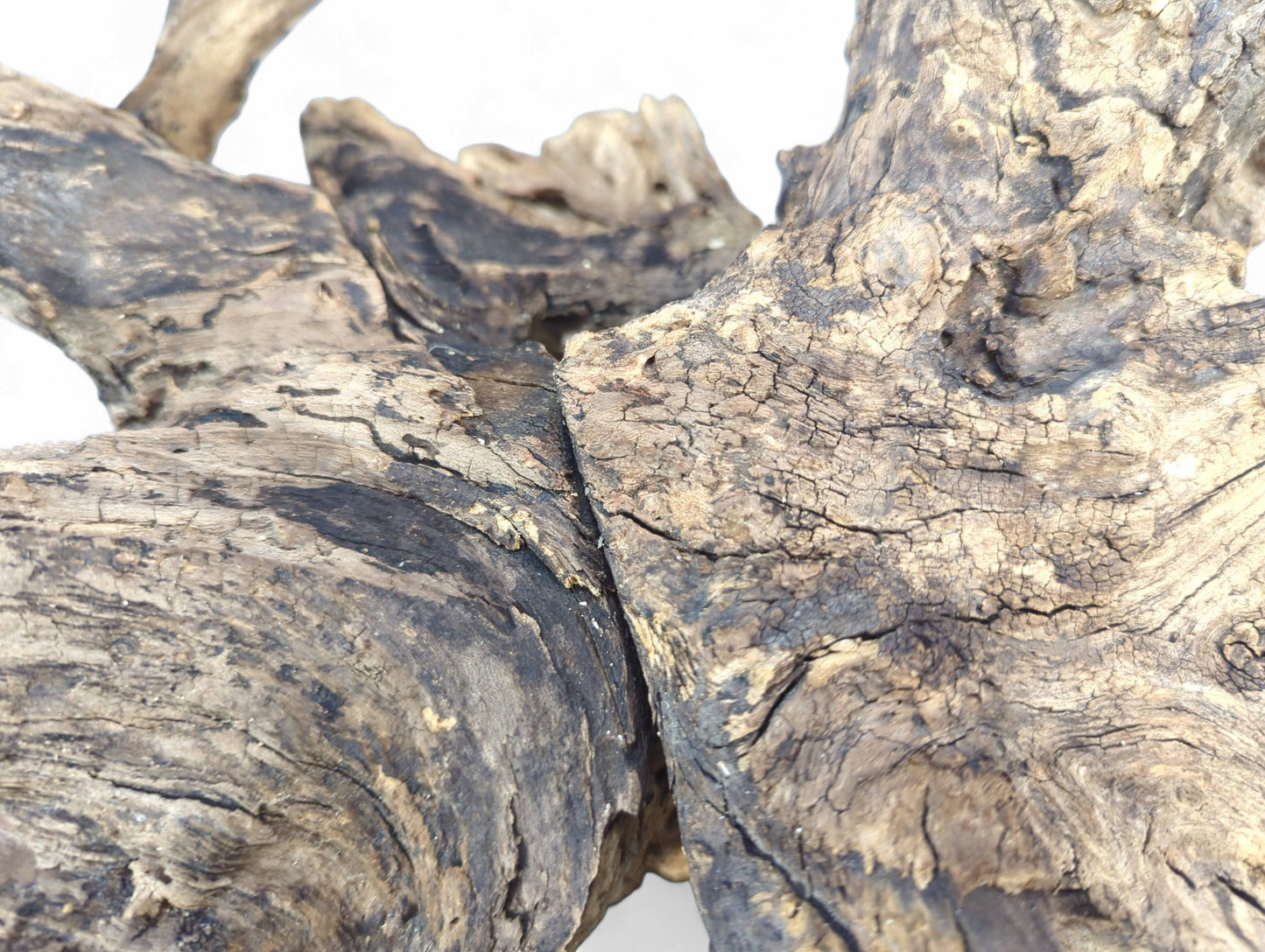 Close-up of a multi-toned brown wood piece with deeply fissured, cracked, and gnarled textures.