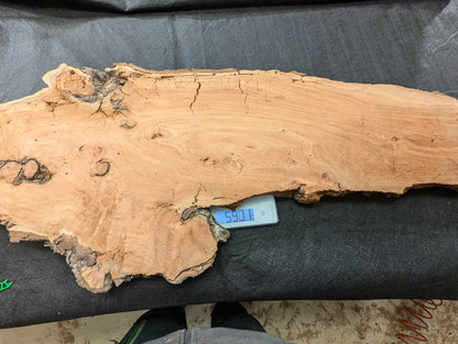 Light brown willow wood slab, irregular, with grain, cracks, decay, and a scale displaying 590.1.