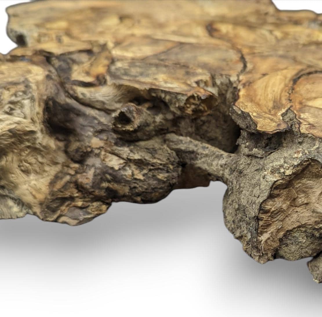 Detailed view of a multi-toned hazel root wood piece with deeply textured, gnarled, and rugged surfaces.