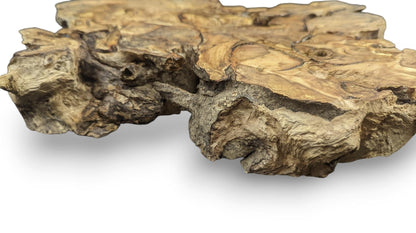 Organic hazel root wood slice, displaying an irregular form, varied brown tones, and deeply textured edges.