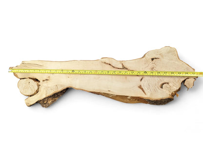 Irregularly shaped light linden wood slice with dark bark edges, measured by a yellow tape.
