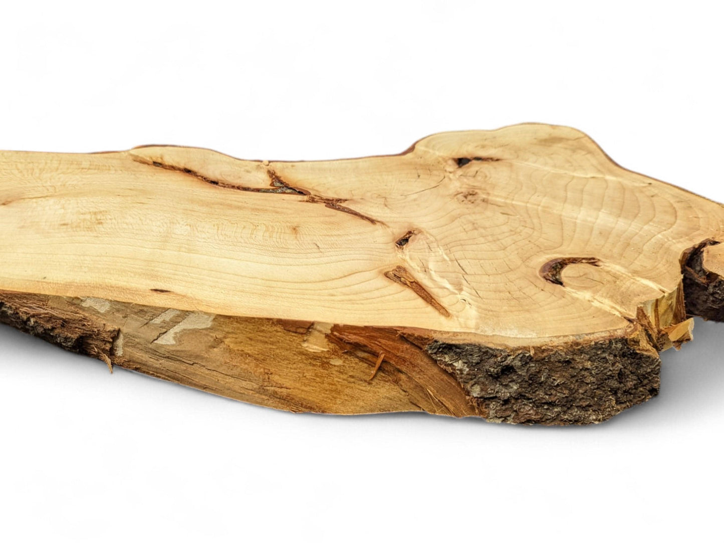 Light linden/lime wood slice displays irregular shape, prominent growth rings, and rough bark edges.