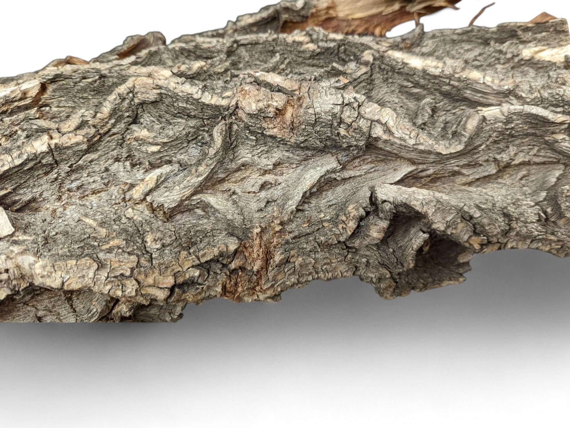 Rough, untreated gray-brown wood bark with prominent, deep cracks and an undulating, rugged texture.