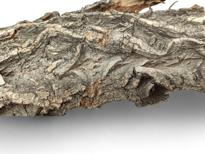 Rough, untreated gray-brown wood bark with prominent, deep cracks and an undulating, rugged texture.