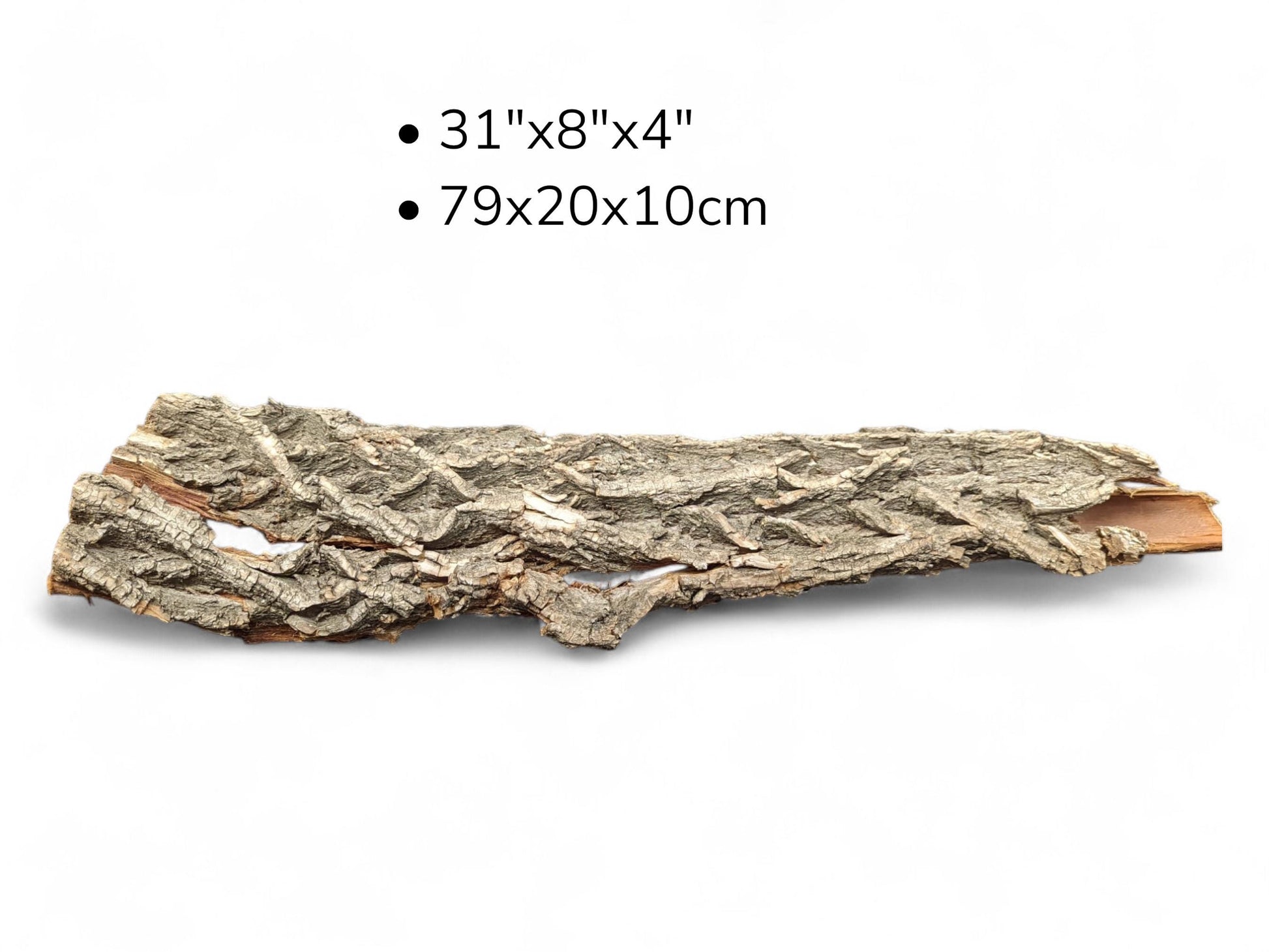 Long, rugged gray-brown wood bark with deep fissures, and dimensions 31"x8"x4", 79x20x10cm.