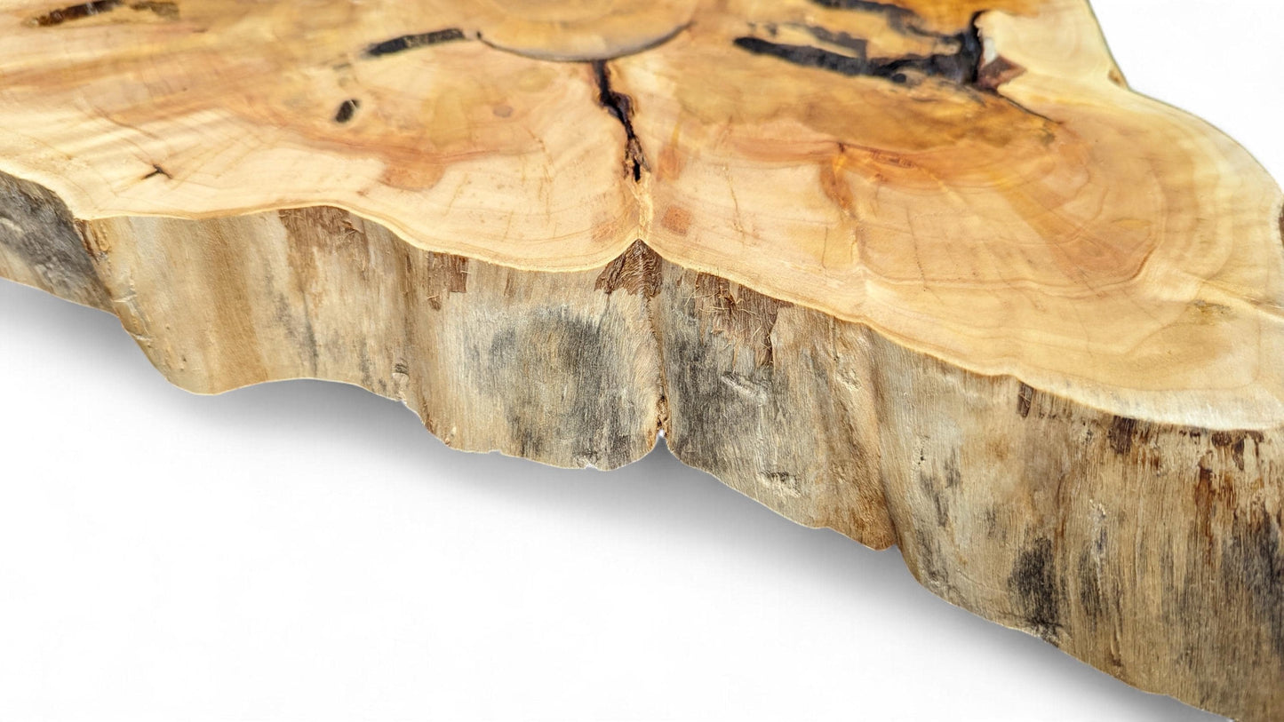Irregular golden-brown live edge wood slice, showing its textured side and top surface with natural cracks.