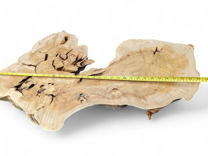 Light-colored, irregular wood slice with natural edges, voids, wavy grain, and a yellow measuring tape.