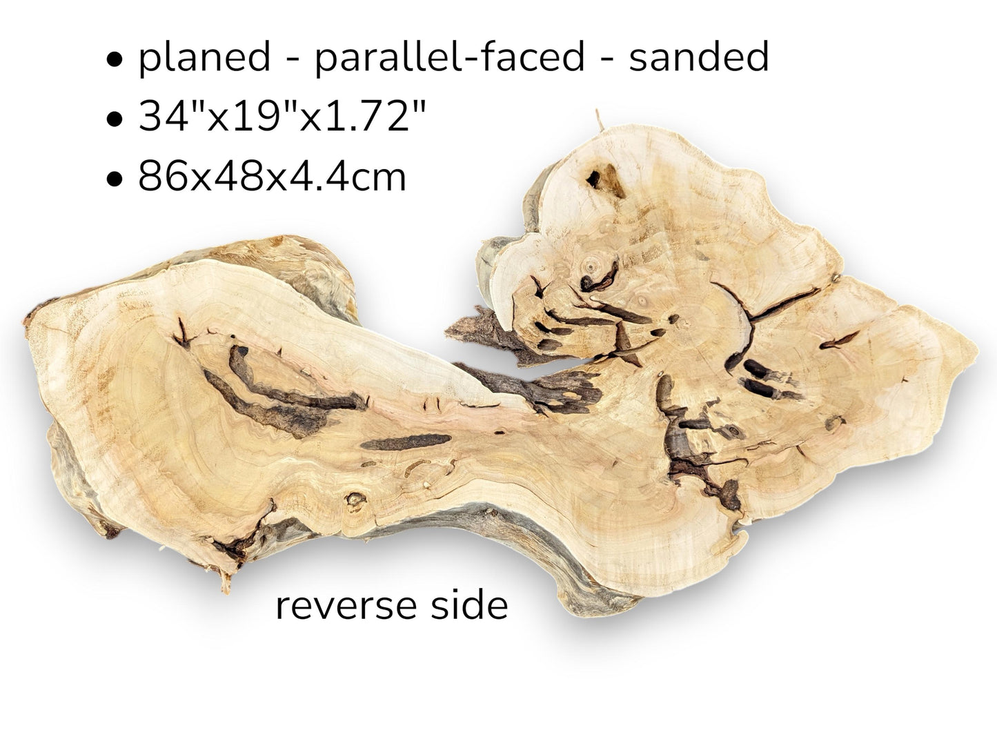 An irregular, light, live edge wood root slice's reverse side, with preparation and dimension text.