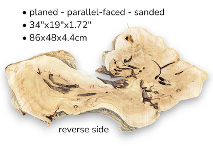 An irregular, light, live edge wood root slice's reverse side, with preparation and dimension text.