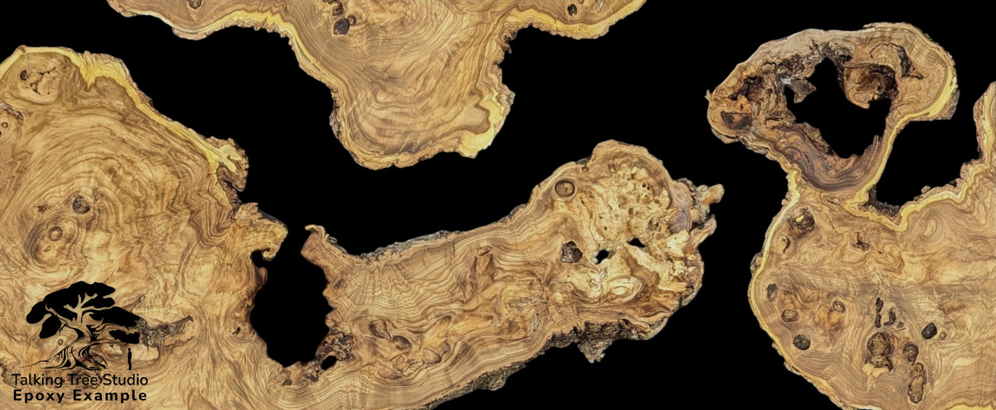 Epoxy example showing multiple irregular Japanese Pagoda root slices, displaying swirling grain, live edges, and voids.
