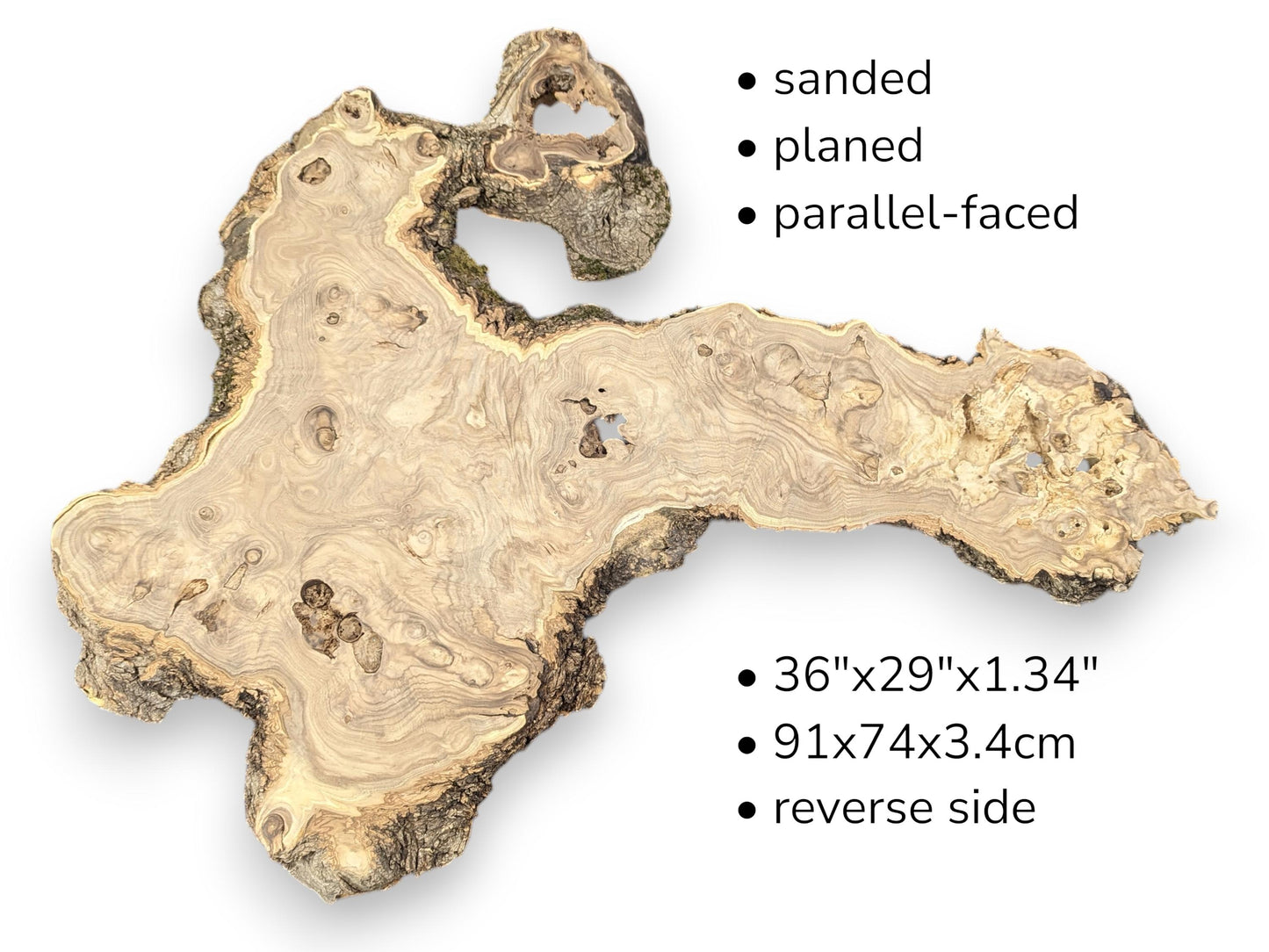 Text specifications and dimensions appear beside a large, pale root slice with dark, rough bark edges.
