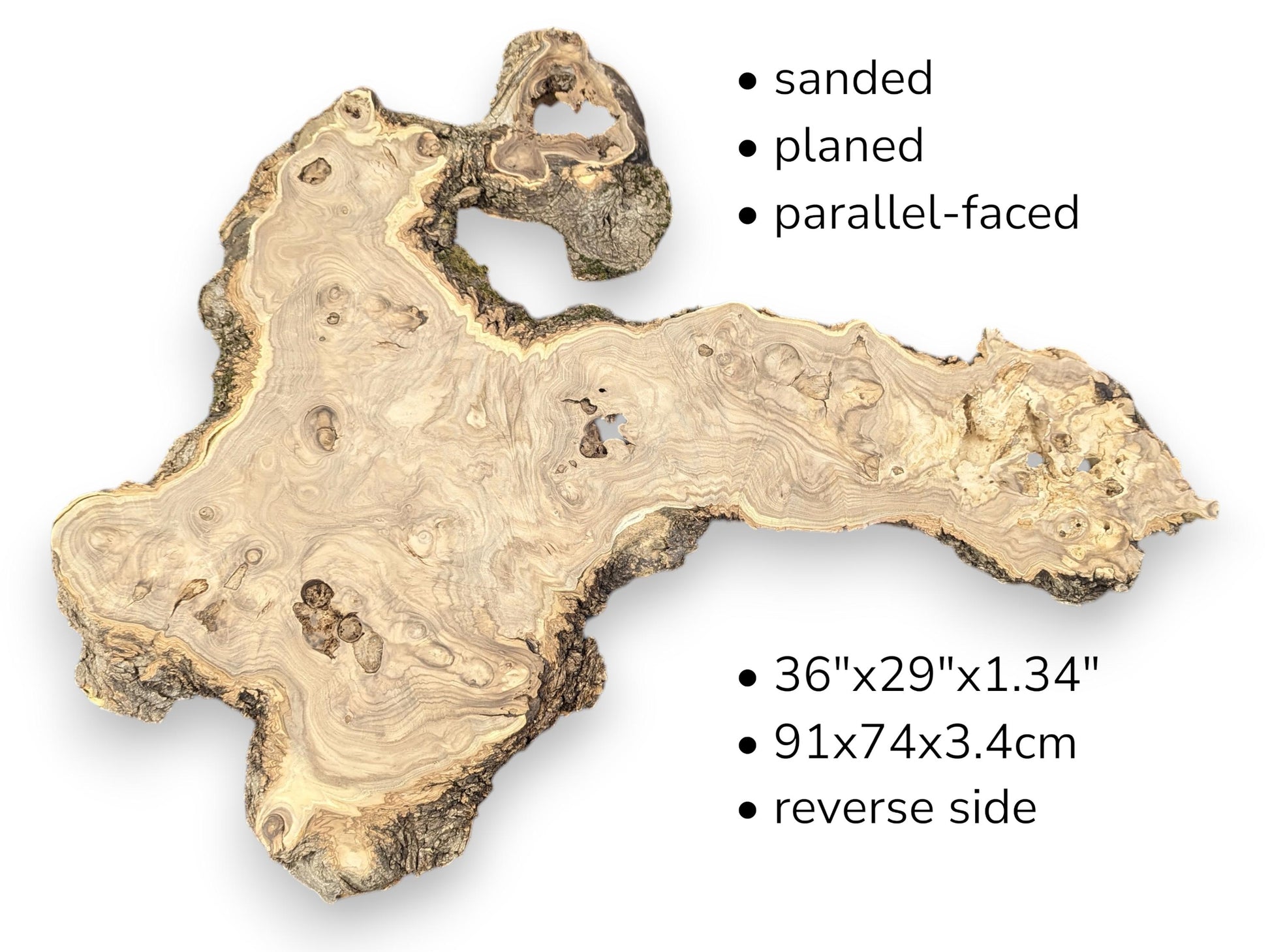 Text specifications and dimensions appear beside a large, pale root slice with dark, rough bark edges.