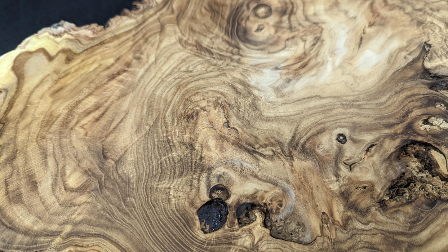 Close-up of a planed Japanese Pagoda root slice, featuring intricate swirling grain, live edge, and dark voids.