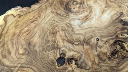 Close-up of a planed Japanese Pagoda root slice, featuring intricate swirling grain, live edge, and dark voids.