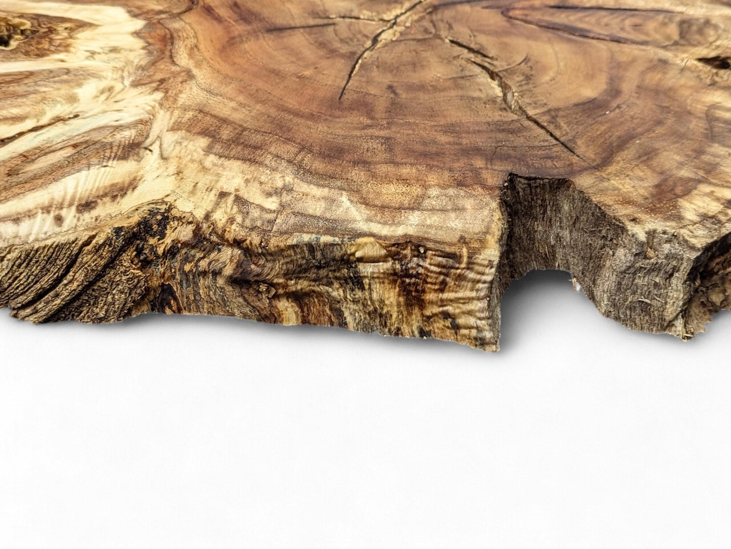 Close-up of a brown wood slice with an irregular live edge, visible grain patterns, and surface cracks.