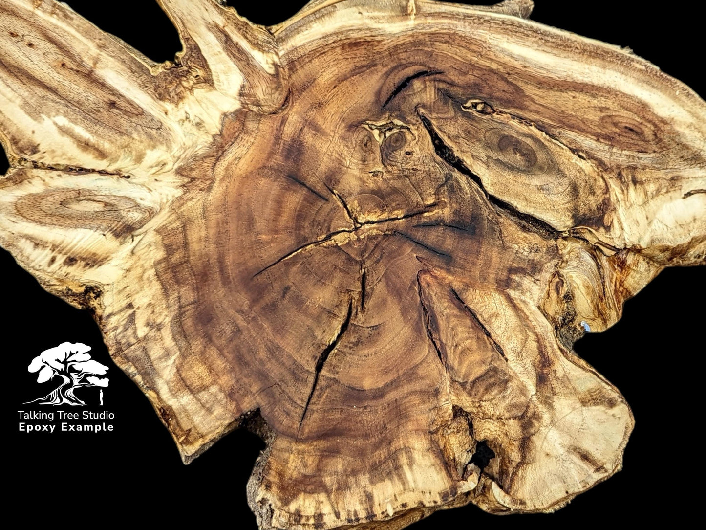 Epoxy Example text overlay on a dark-centered, irregular live edge wood root slice with cracks.