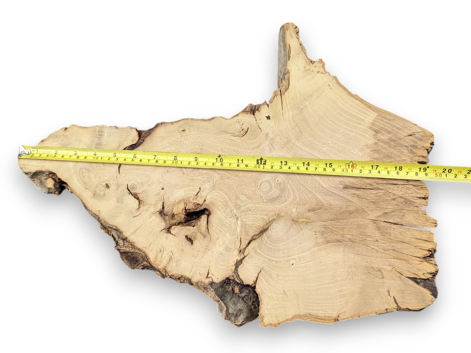 Image displaying a light-colored, irregular wood slice with live edge, prominent grain, and measuring tape.