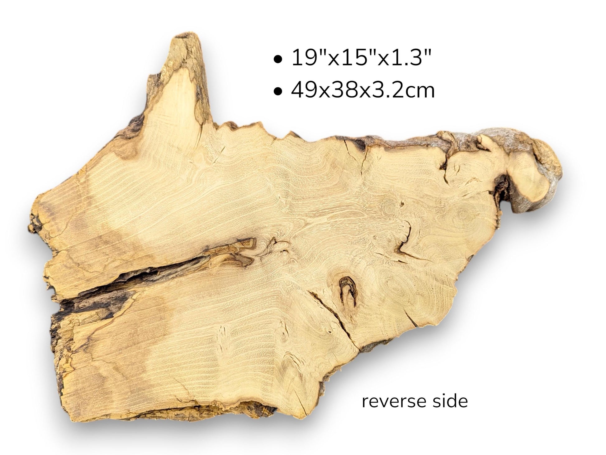 Reverse view of light wood slice displaying grain, cracks, and text listing dimensions in inches and centimeters.