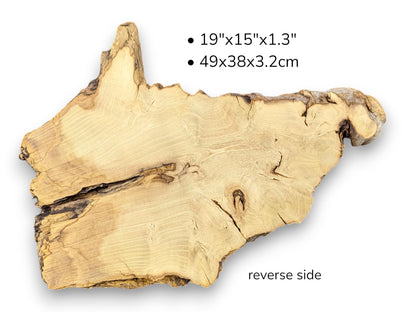 Reverse view of light wood slice displaying grain, cracks, and text listing dimensions in inches and centimeters.