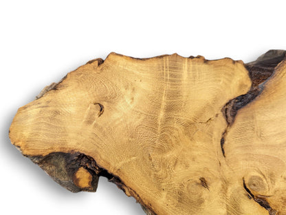 Light golden-brown wood slice with an irregular live edge, prominent grain, a knot, and dark natural crevices.