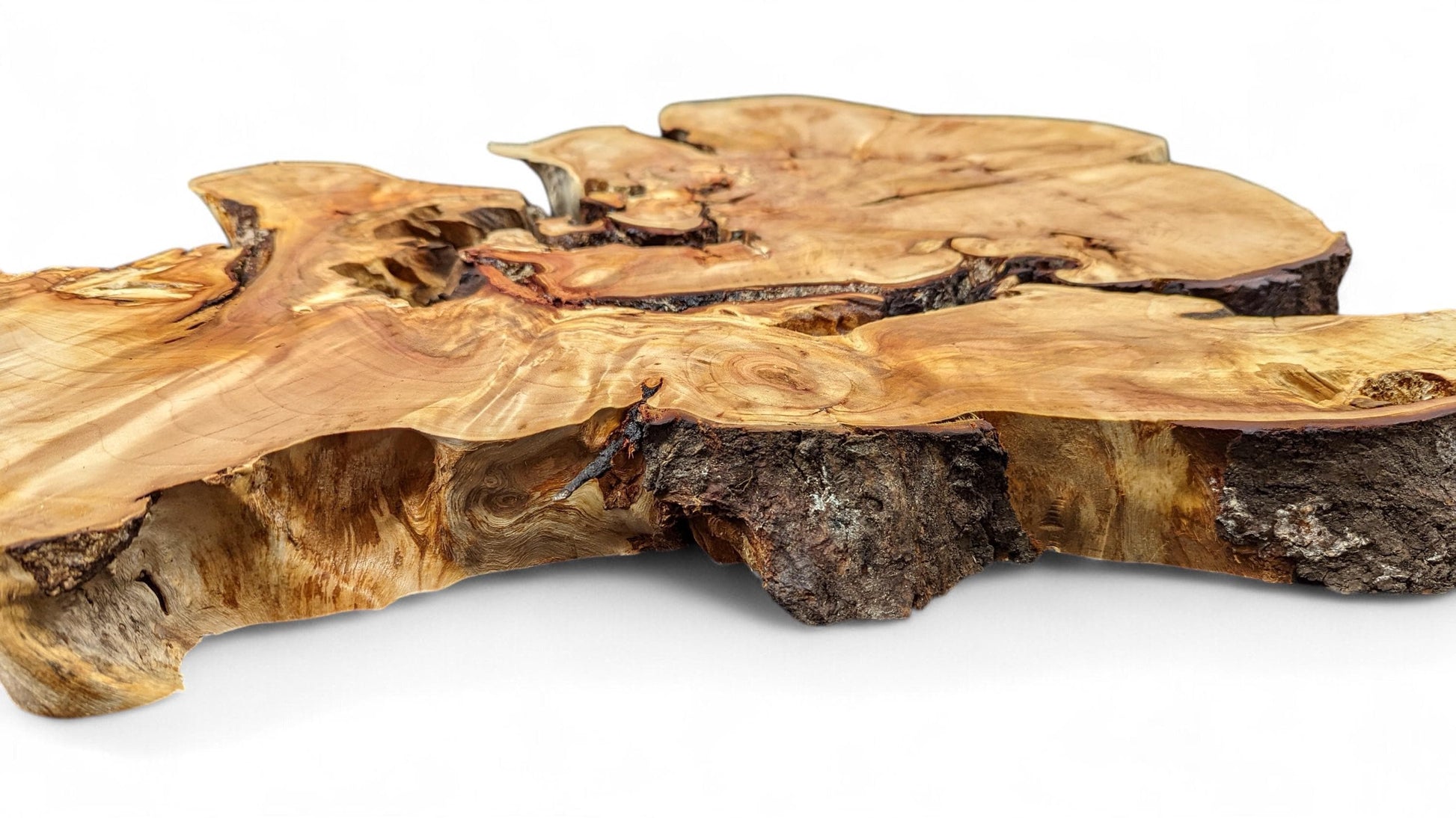 An irregularly shaped, light brown weeping willow root slice with intricate grain and dark textured live edges.