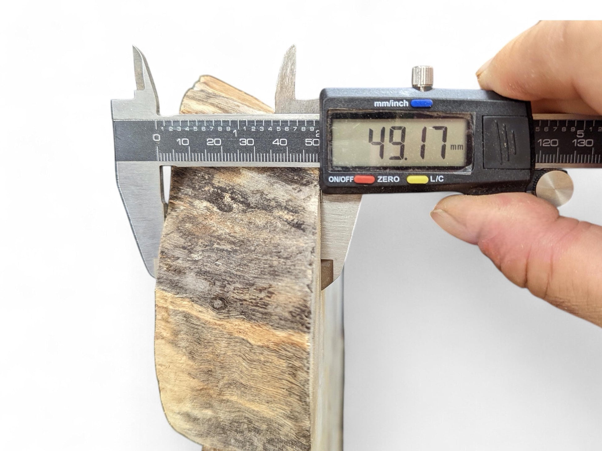 Digital caliper held by hand measures a mottled weeping willow root slice, 49.17 mm.