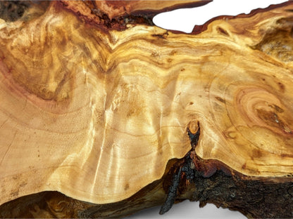 Detailed view of an irregular, light golden-brown weeping willow root slice, showing swirling grain and a dark live edge.