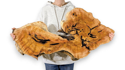 A person holds a large, irregular golden-brown live edge wood slice, showing natural voids and grain.