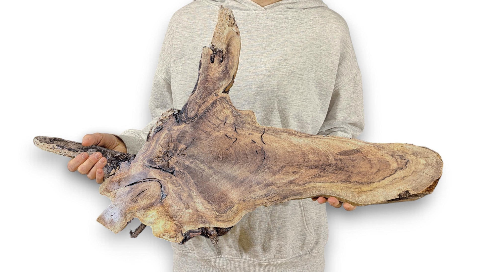 Organic wood slice with warm brown tones, distinct grain, and textured live edges, held by a person.