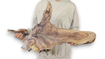 Organic wood slice with warm brown tones, distinct grain, and textured live edges, held by a person.