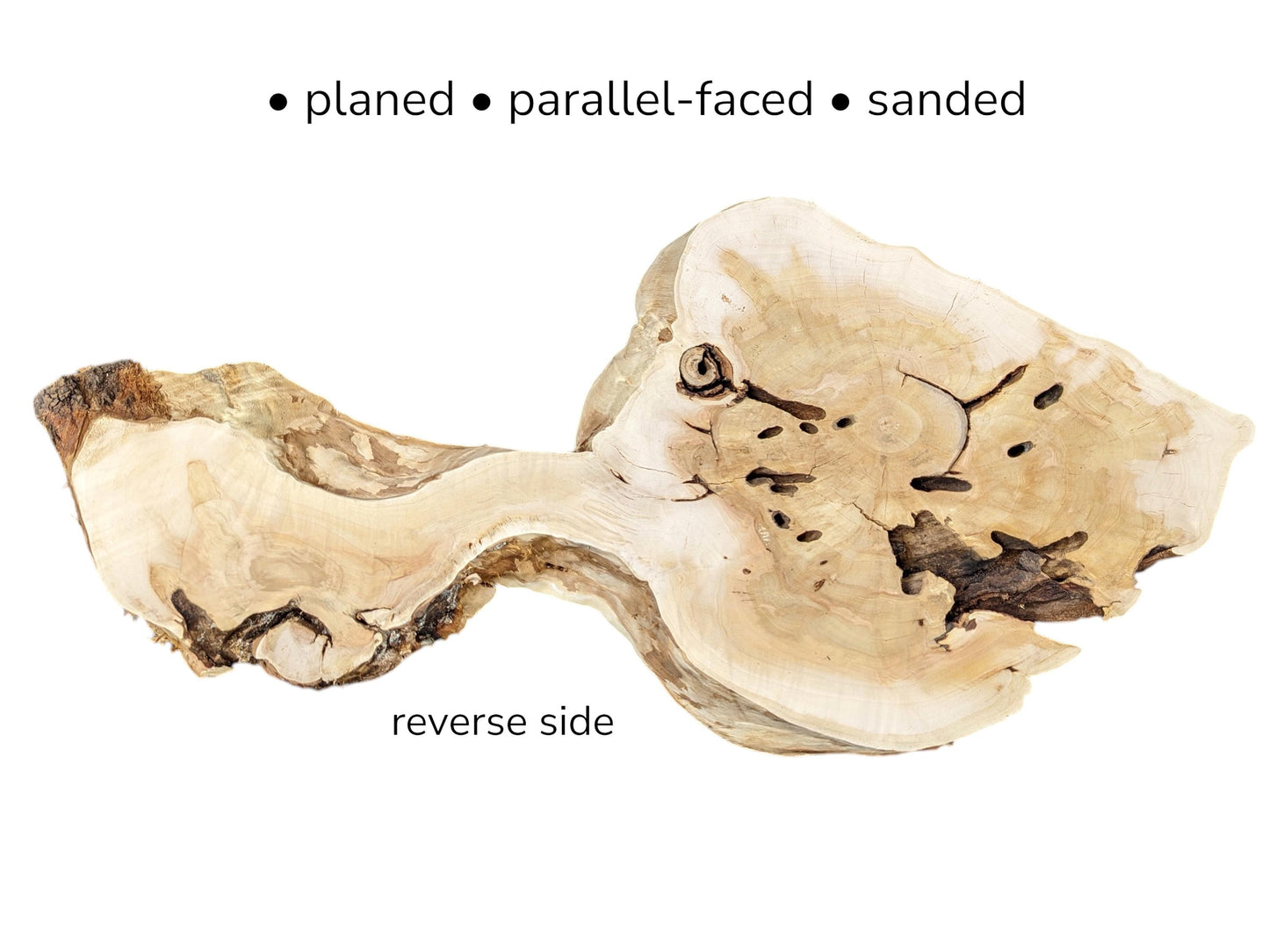 Irregular beige root slice showing natural grain and voids, with text overlay detailing finish on white background.