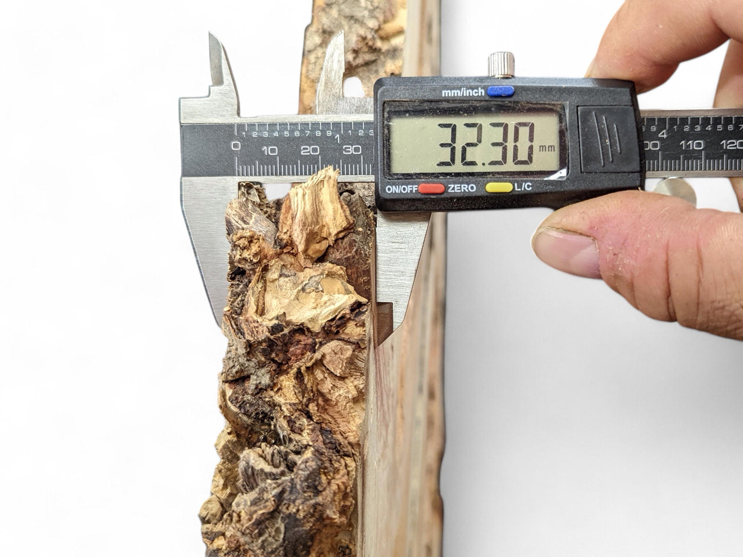 A hand holds a digital caliper displaying 32.30mm, measuring a rough, dark bark-edged wood slice.