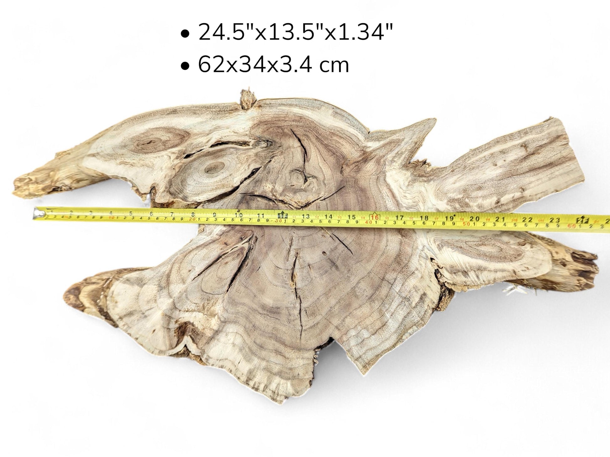 Pale brown irregular wood slice shows swirling grain, cracks, yellow measuring tape, and dimension text overlay.