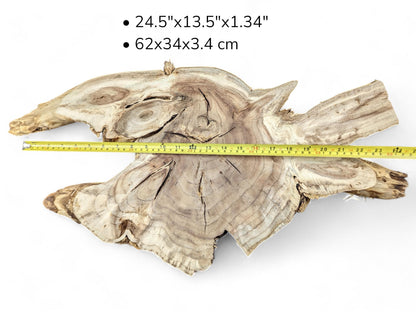 Pale brown irregular wood slice shows swirling grain, cracks, yellow measuring tape, and dimension text overlay.