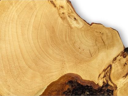 Linden wood slice showing light yellowish wood grain, concentric rings, and rough dark live edge bark.