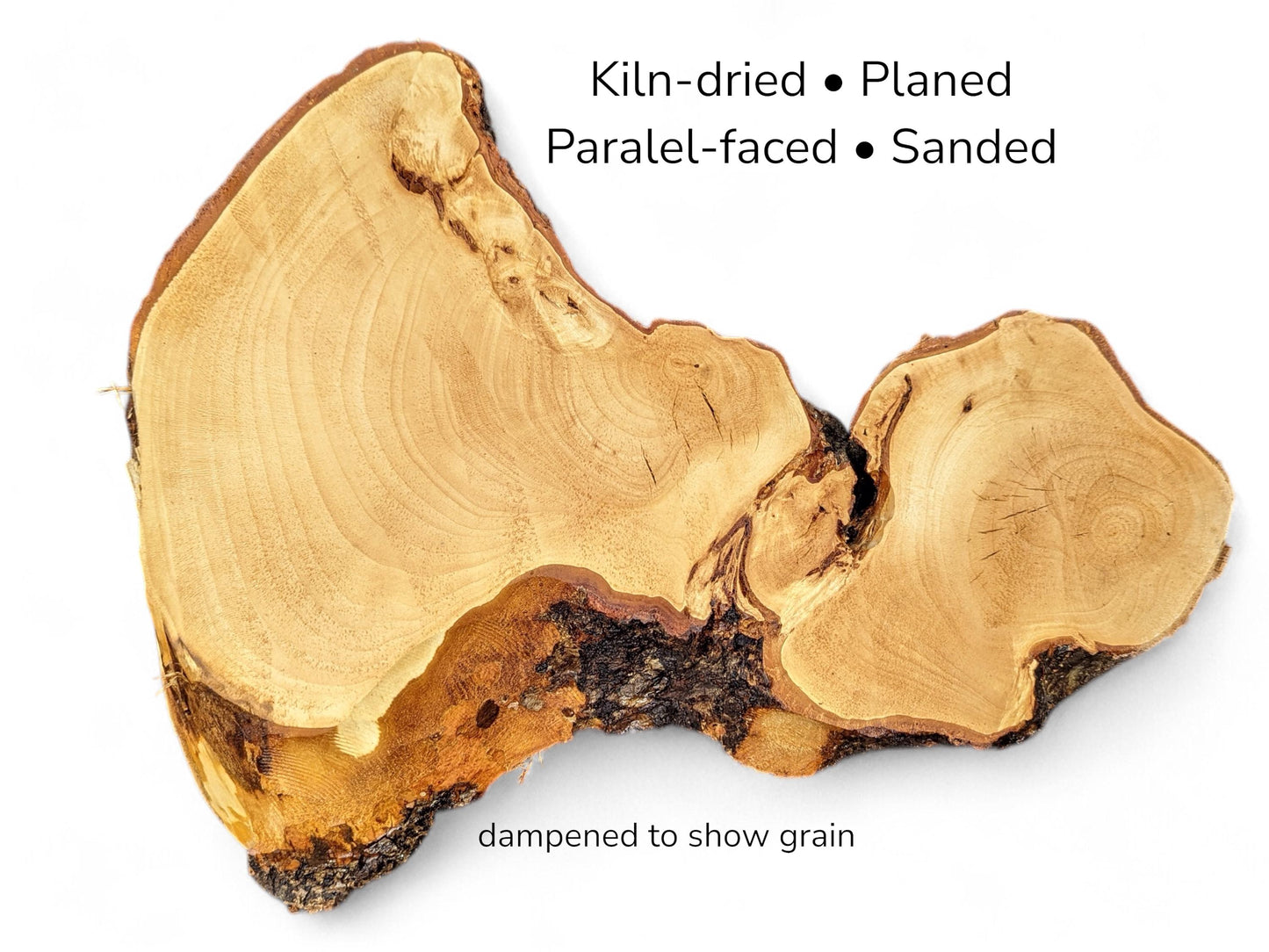 Irregular light golden wood slice with dark bark edges and text listing processing details on white.