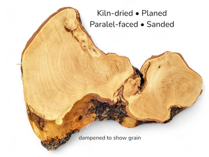Irregular light golden wood slice with dark bark edges and text listing processing details on white.