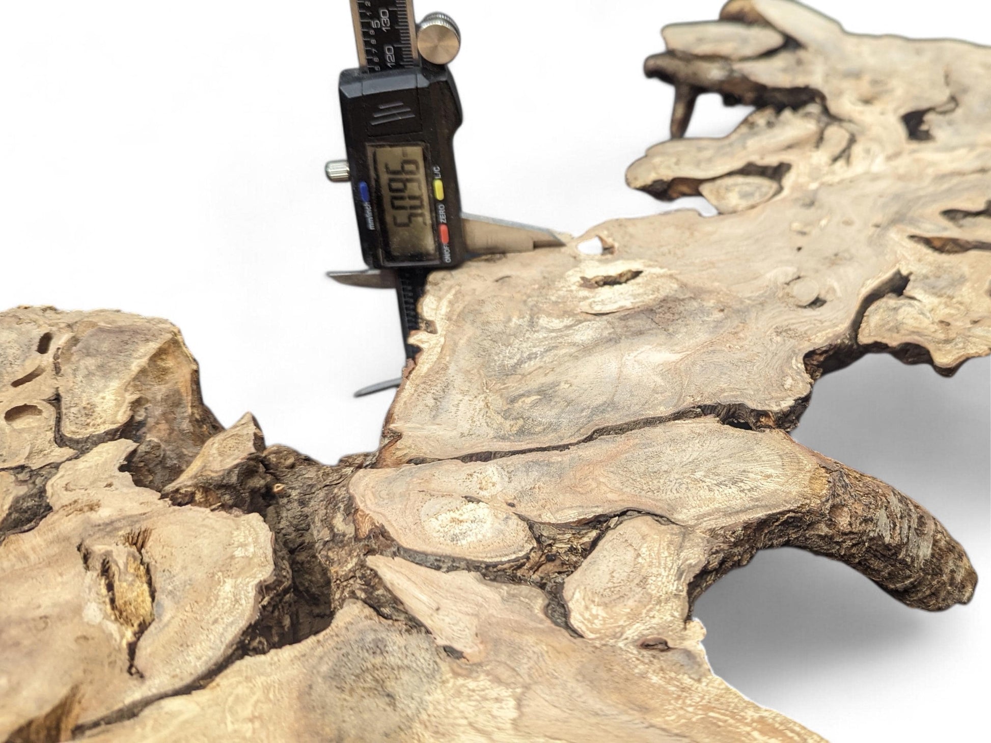Digital caliper displays 5.096 while measuring a light brown, gnarled hazel root wood slice.