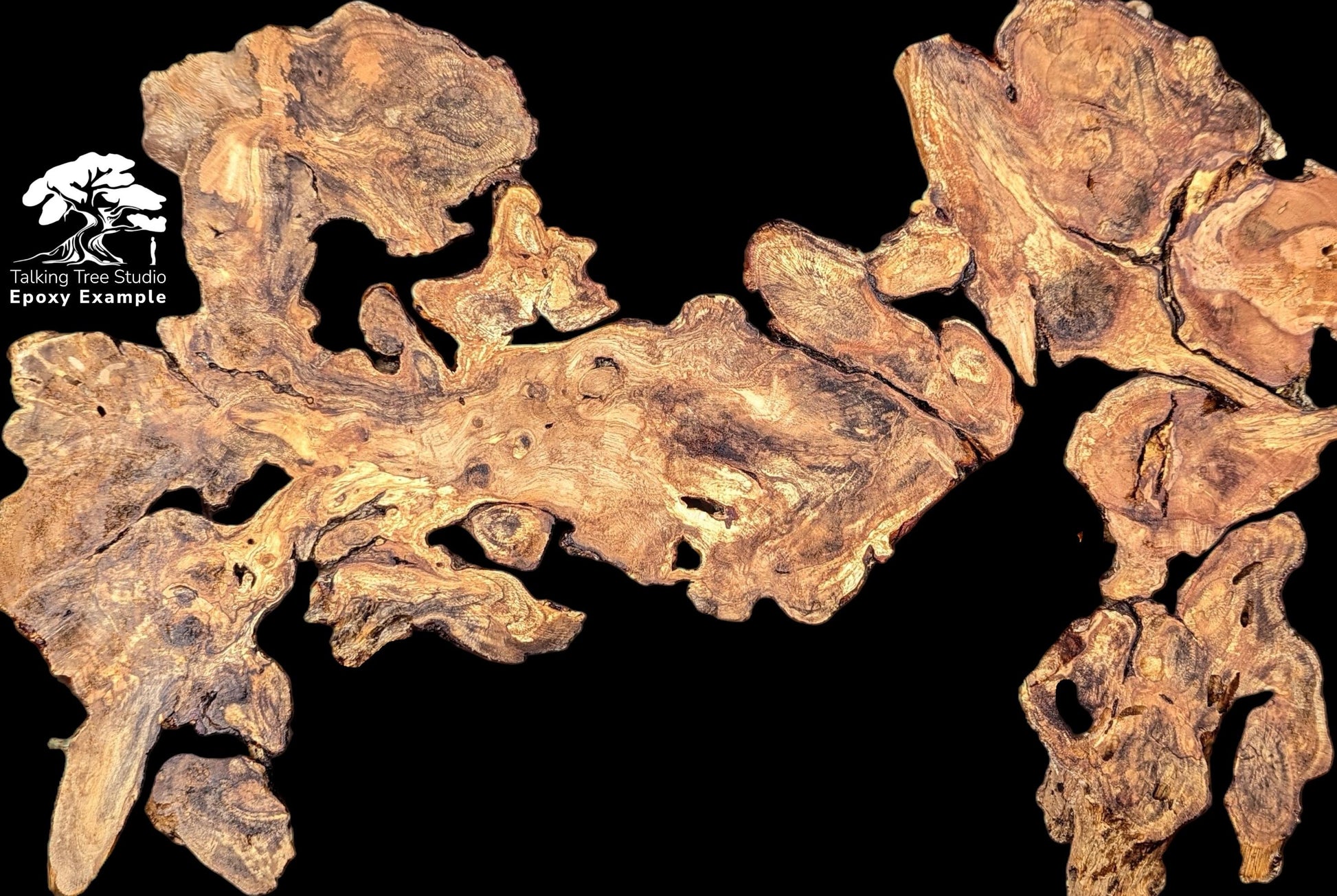 Informational graphic: gnarled, irregular, light and dark brown hazel root wood slice, 'Epoxy Example' text.
