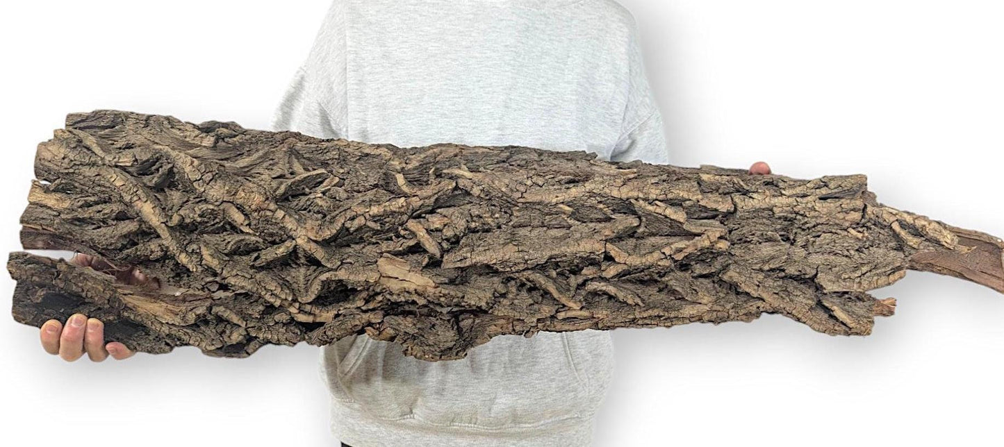 Large, dark brown wood bark, heavily textured with deep ridges, held horizontally by a person.