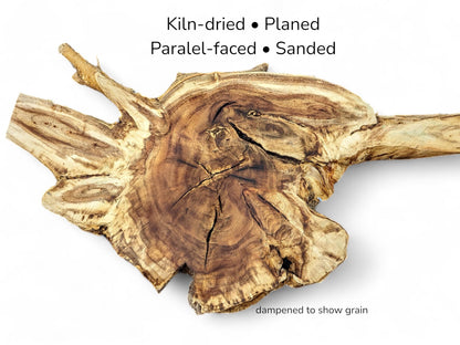Irregular wooden root slice displaying distinct brown grain patterns and center cracks with overlay text details.