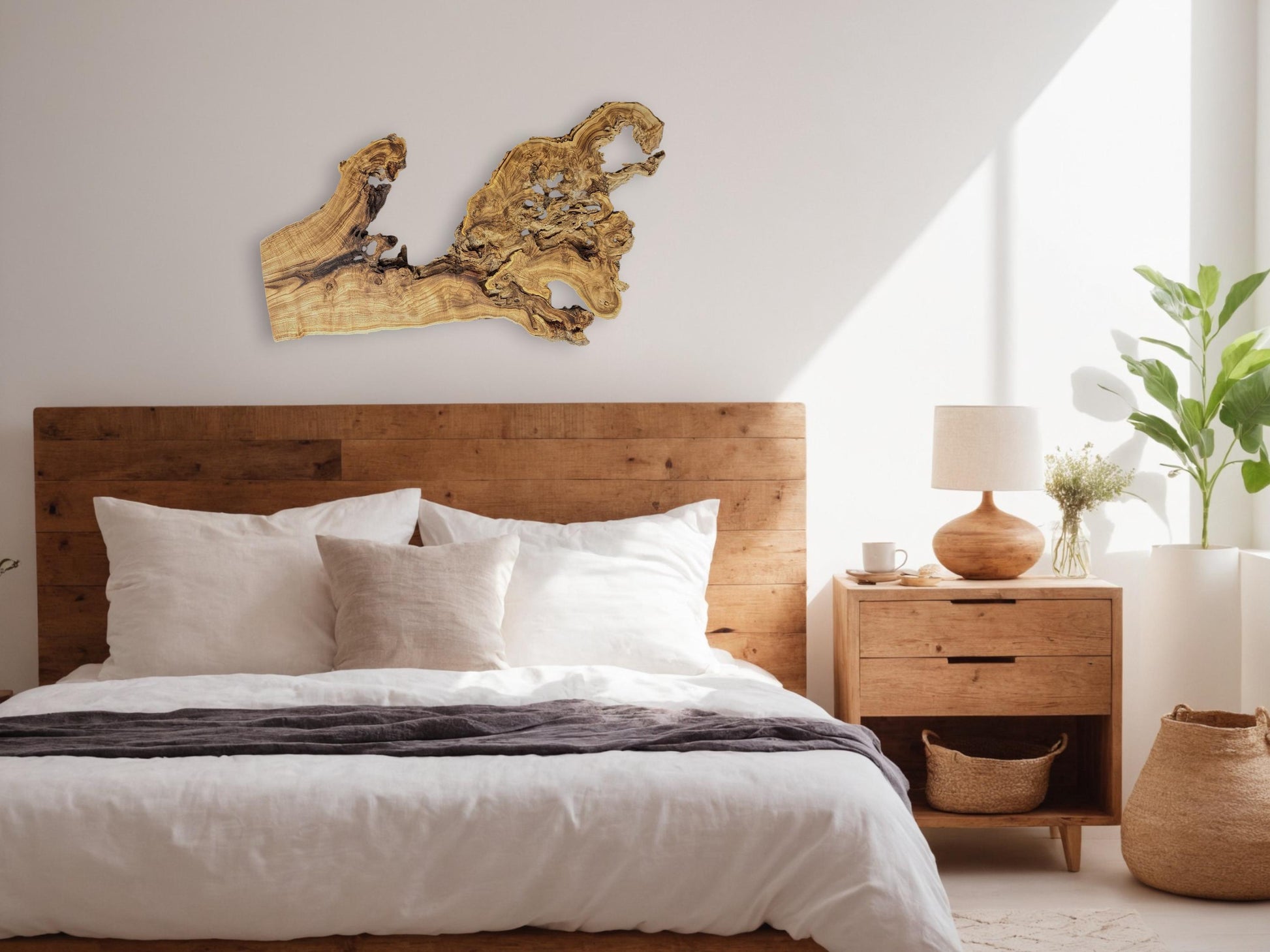Light brown, irregularly shaped wood root slice, featuring dark grain and natural holes, mounted on a white wall.