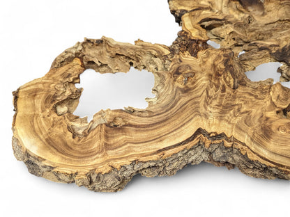 Unique wood root slice showing light brown colors, swirling dark grain, uneven bark, and natural voids.