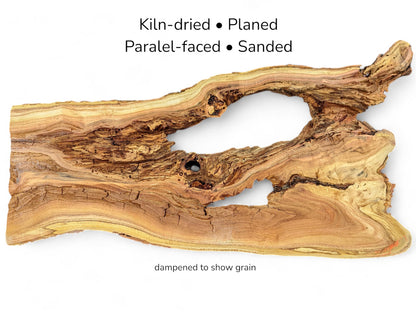 Image with text details displaying a brown root slice with swirling grain and a large central void.