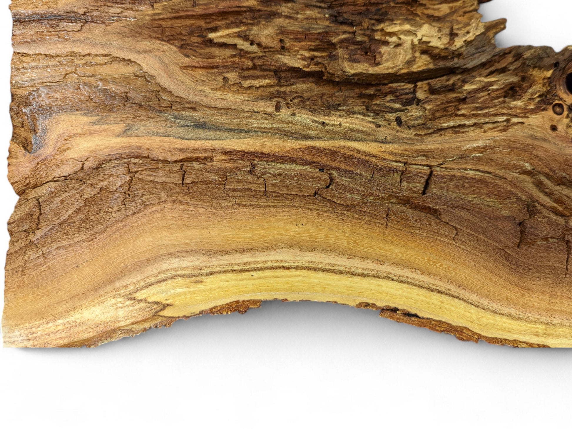 Natural wood slice with distinct wavy grain, varying brown and golden tones, cracks, and small holes.