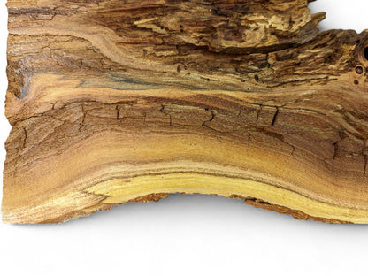 Natural wood slice with distinct wavy grain, varying brown and golden tones, cracks, and small holes.