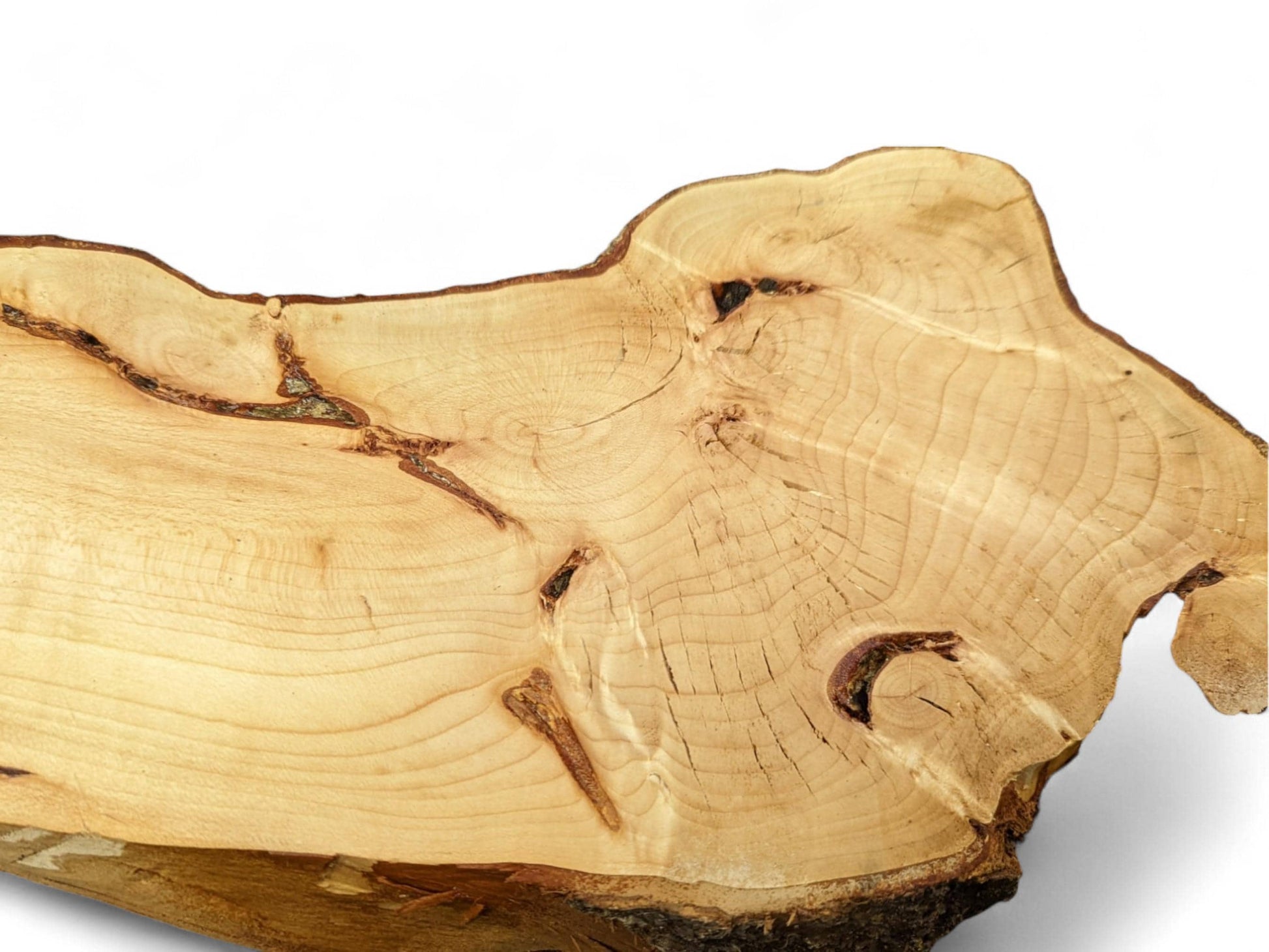 Planed, irregular light linden wood slice showing prominent growth rings, natural cracks, and a dark bark edge.